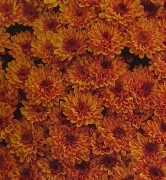 Chrysanthemum "Arundel Copper" 5 Stecklinge BIO